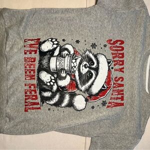 SHEIN Gray 'Sorry Santa' Raccoon Hoodie